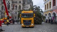 TvLKstromliberec3 2020